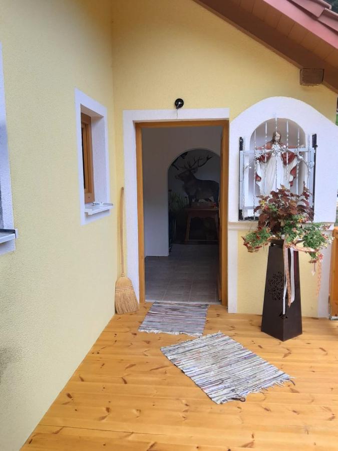Ferienwohnung Anika Kleinlobming Kültér fotó